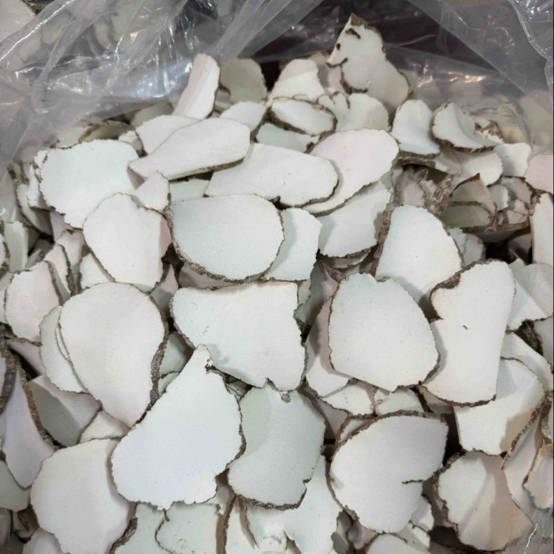 【包邮】虎奶菇虎乳菌片规格齐全全国发货量大从优