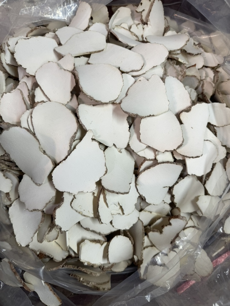 【包邮】虎奶菇虎乳菌片规格齐全全国发货量大从优