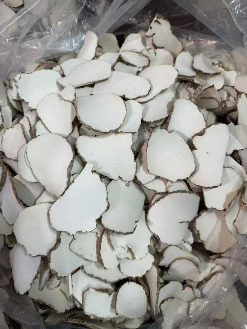【包邮】虎奶菇虎乳菌片规格齐全全国发货量大从优