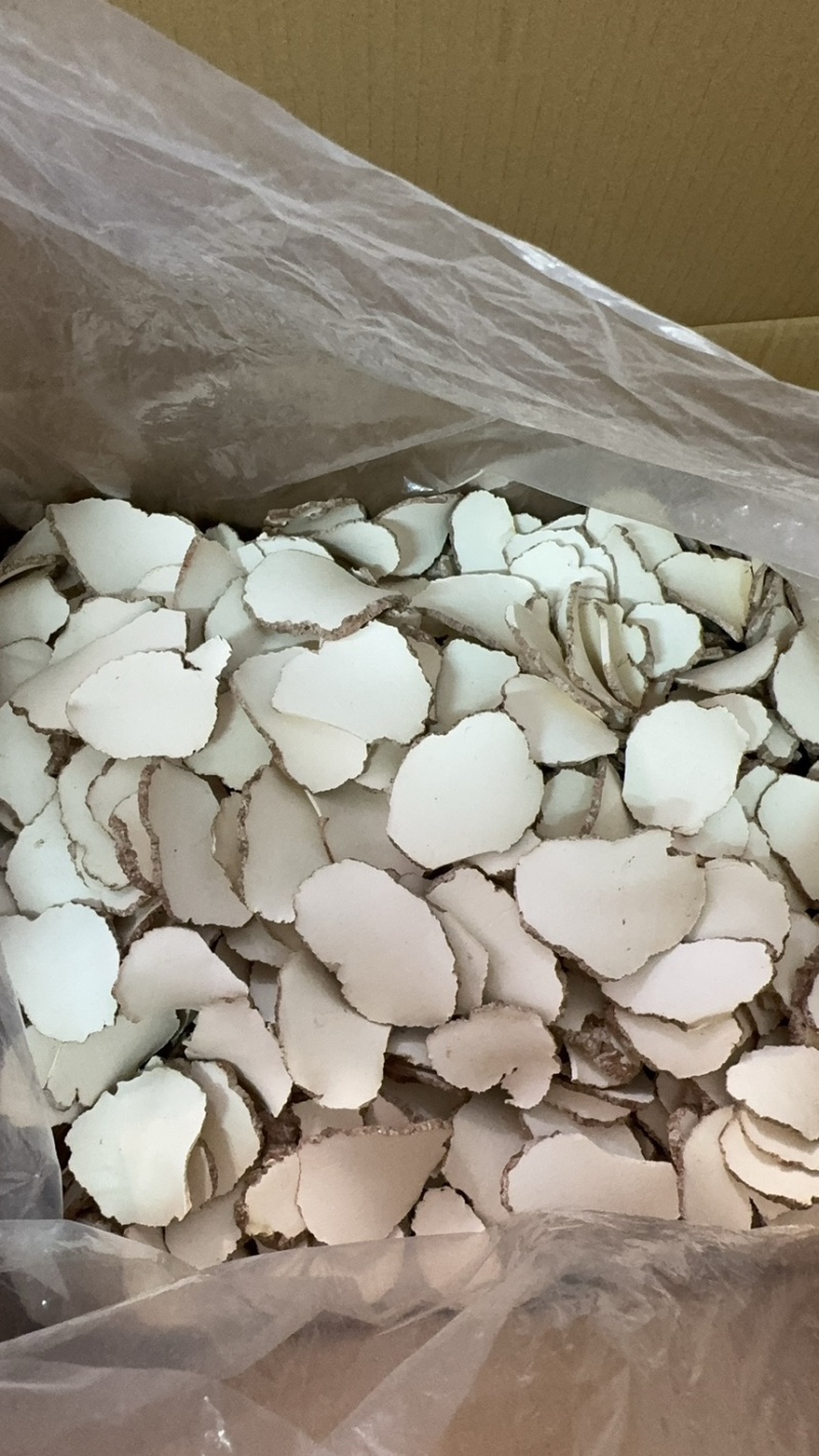 【包邮】虎奶菇虎乳菌片规格齐全全国发货量大从优