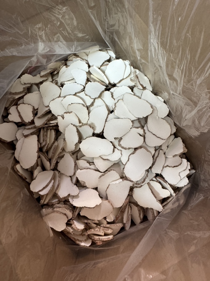 【包邮】虎奶菇虎乳菌片规格齐全全国发货量大从优
