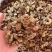 高品质精选正宗优质黄芩传统手工切片品质保真一手货源源头