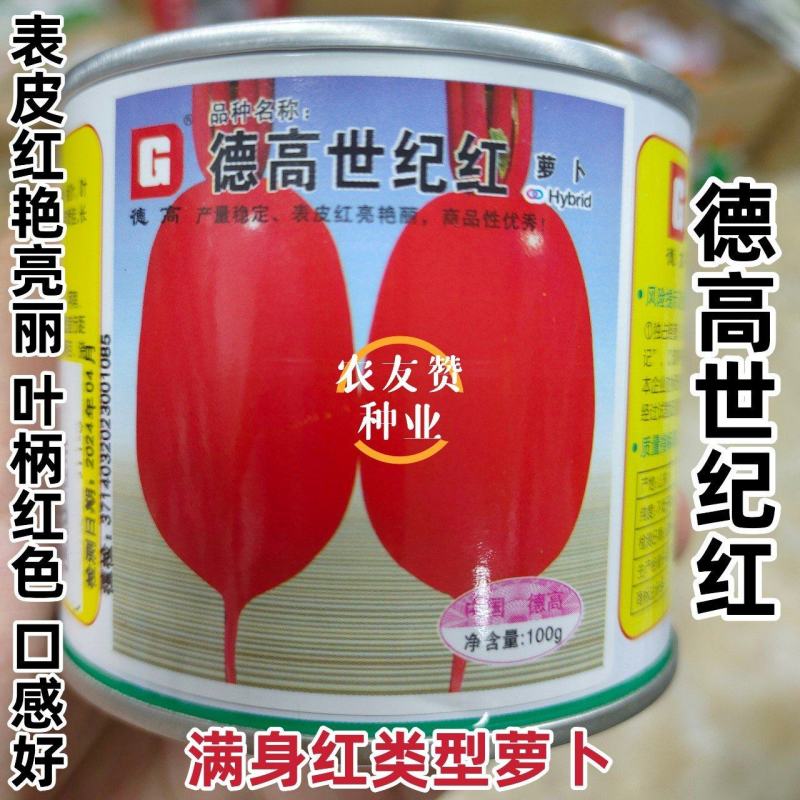 满身红类型萝卜种子德高世纪红萝卜种子口感好秋季萝卜种籽