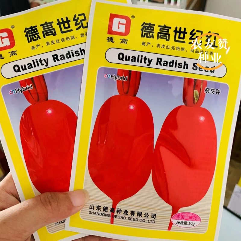 满身红类型萝卜种子德高世纪红萝卜种子口感好秋季萝卜种籽
