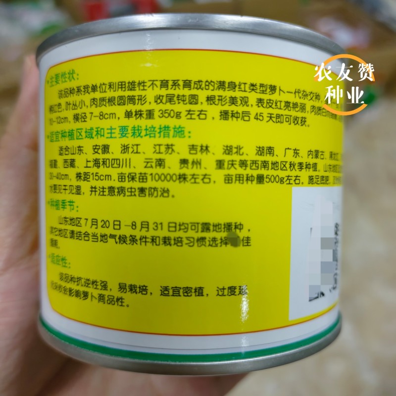 满身红类型萝卜种子德高世纪红萝卜种子口感好秋季萝卜种籽