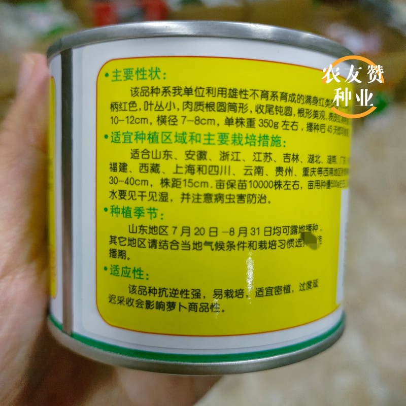 满身红类型萝卜种子德高世纪红萝卜种子口感好秋季萝卜种籽