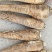 大量出售干白芷基地直发鲜白芷大量出售货源充足欢迎咨询