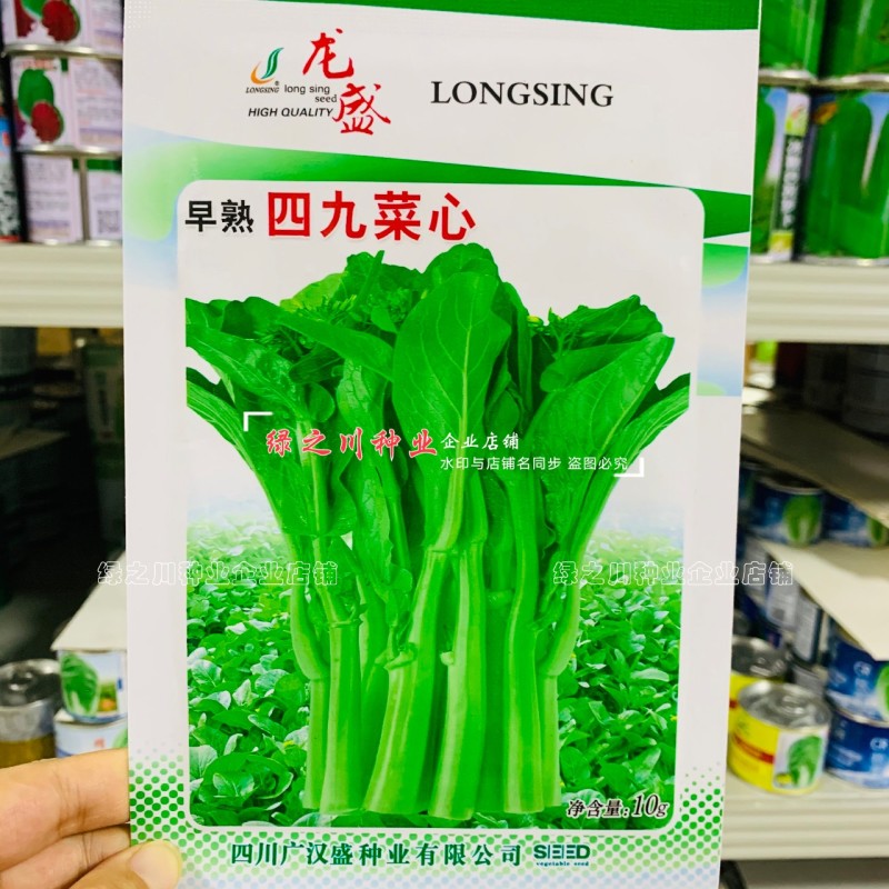早熟四九菜心种子大田菜苔种籽纤维少绿菜心种籽抽苔菜心秋季