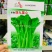 早熟四九菜心种子大田菜苔种籽纤维少绿菜心种籽抽苔菜心秋季