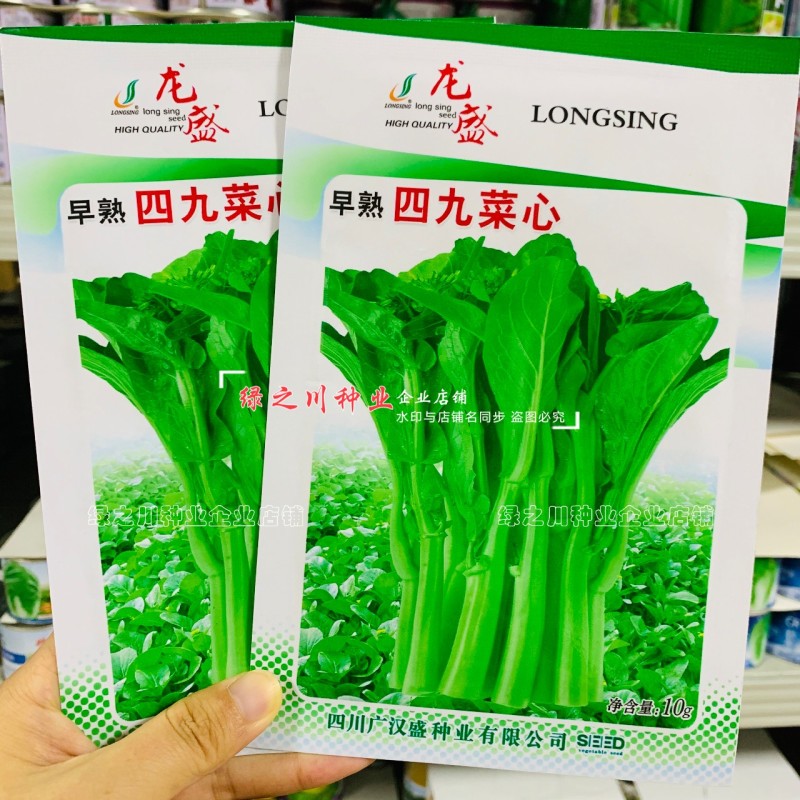 早熟四九菜心种子大田菜苔种籽纤维少绿菜心种籽抽苔菜心秋季