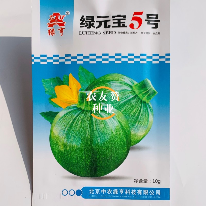 圆宝小瓜种子无蔓西葫芦种子特早熟高产抗病绿色圆形西葫芦瓜