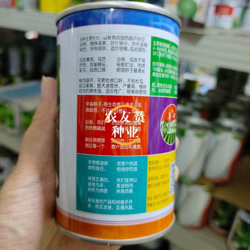 圆宝小瓜种子无蔓西葫芦种子特早熟高产抗病绿色圆形西葫芦瓜