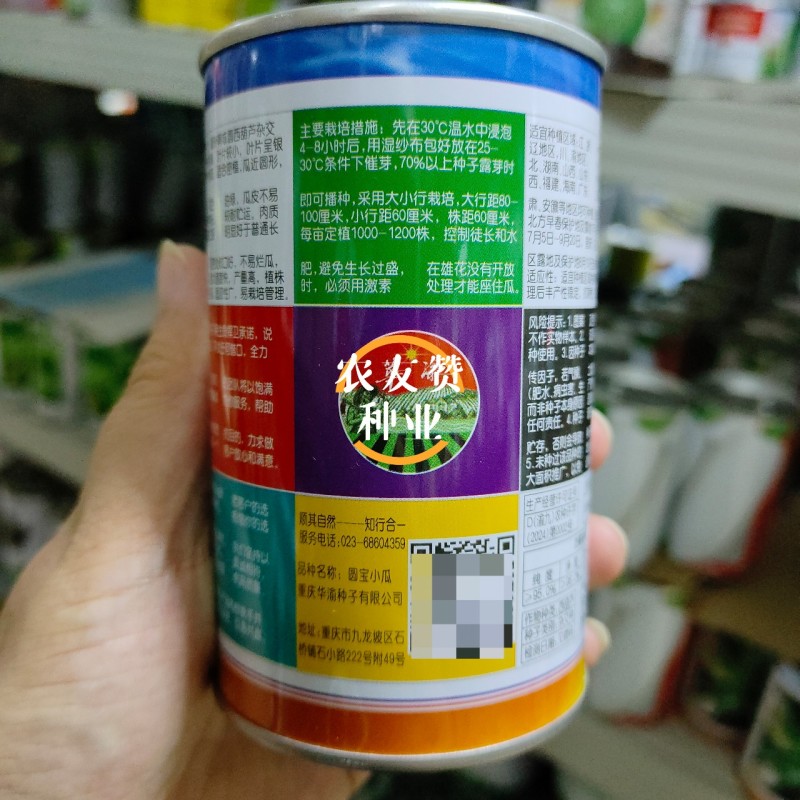 圆宝小瓜种子无蔓西葫芦种子特早熟高产抗病绿色圆形西葫芦瓜