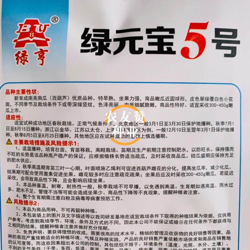 圆宝小瓜种子无蔓西葫芦种子特早熟高产抗病绿色圆形西葫芦瓜