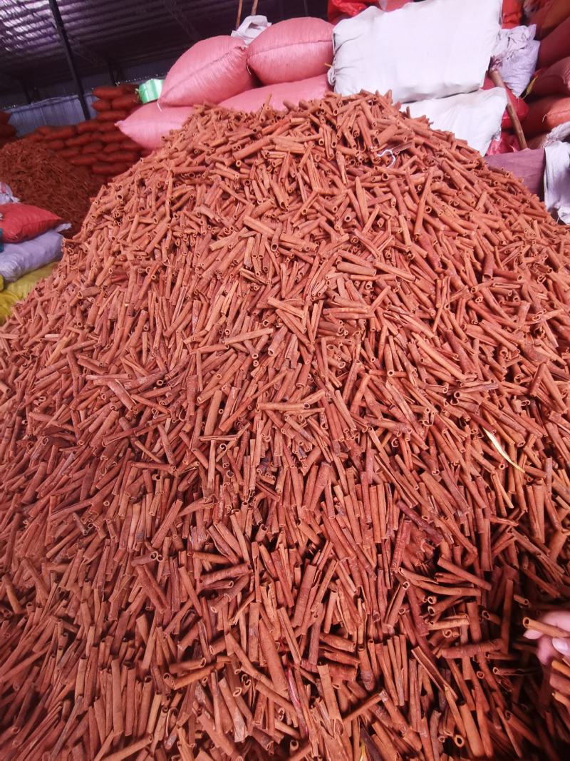 烟桂桂皮