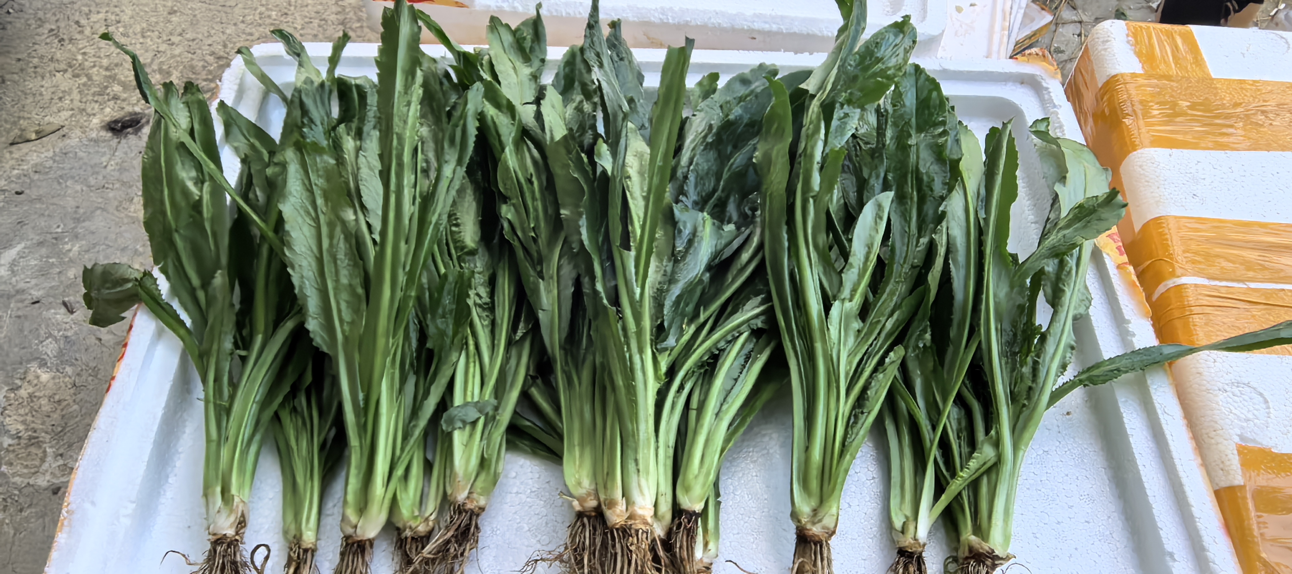 展示滑县香菜在农贸市场或超市货架上整齐摆放,新鲜翠绿,吸引顾客选购 滑县香菜市场销售场景