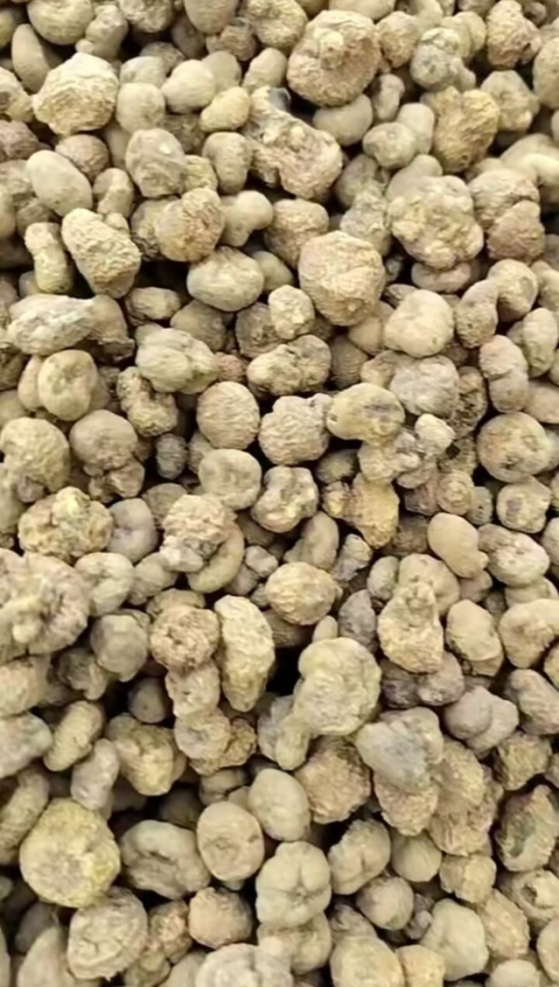 陕西汉中精品药材元胡，颗粒大，含量高，