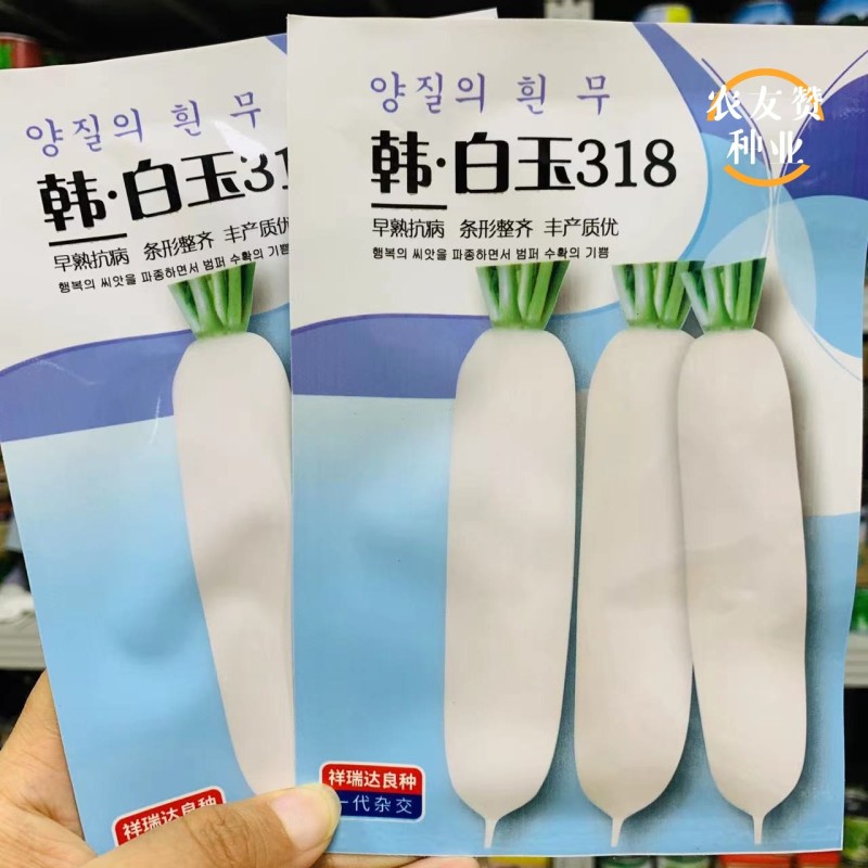 韩白玉318白萝卜种子早熟抗病整齐度好秋季大白萝卜种籽