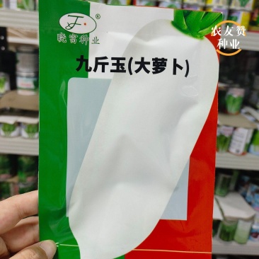晓富九斤王萝卜种子大白萝卜种子中晚熟采收期长晚萝卜种子