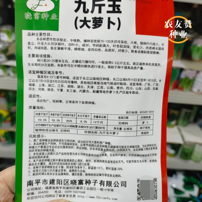 晓富九斤王萝卜种子大白萝卜种子中晚熟采收期长晚萝卜种子