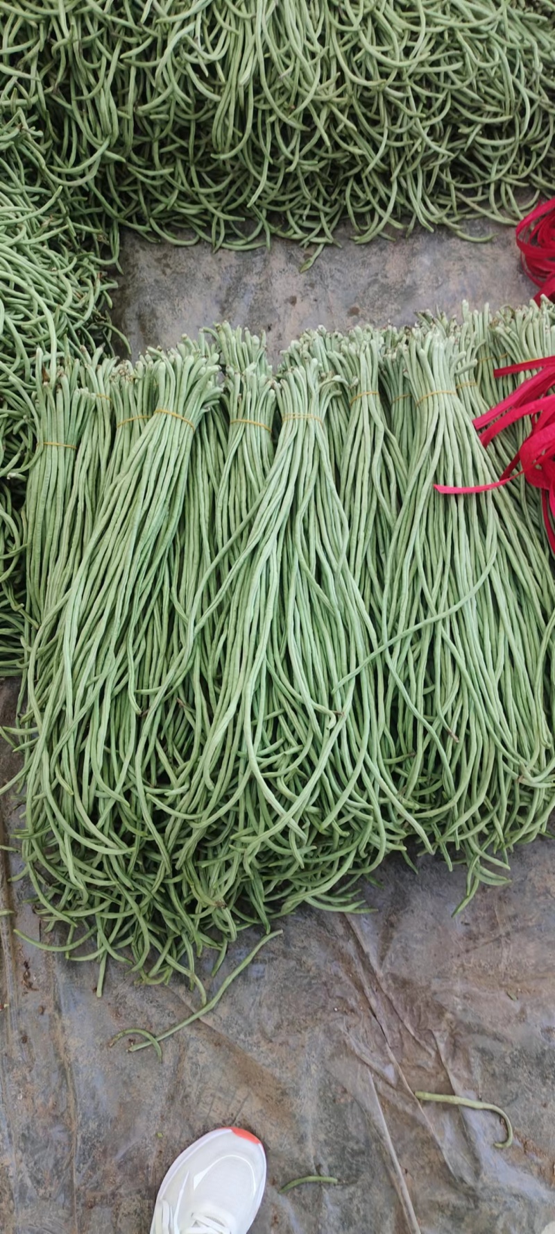 豆角