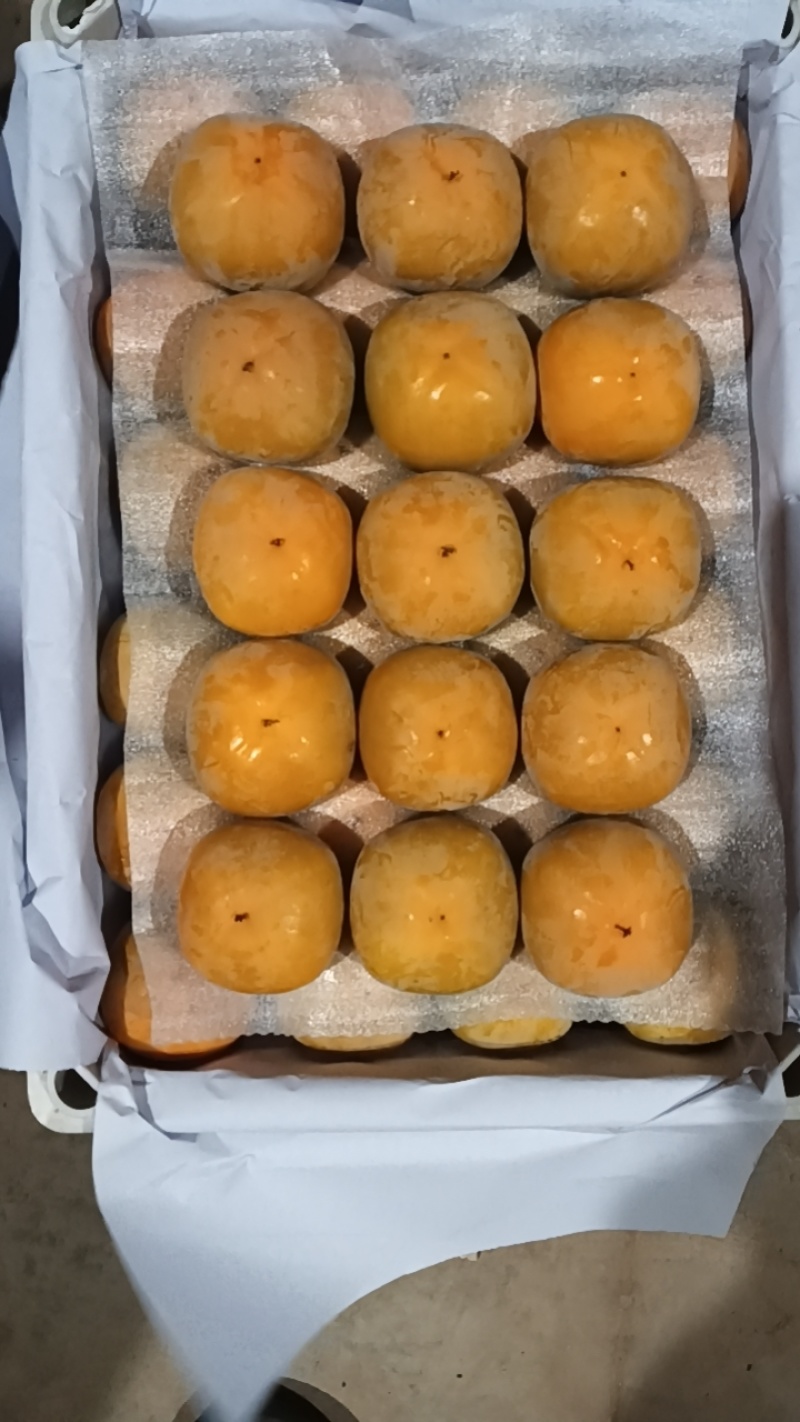 七月黄柿子