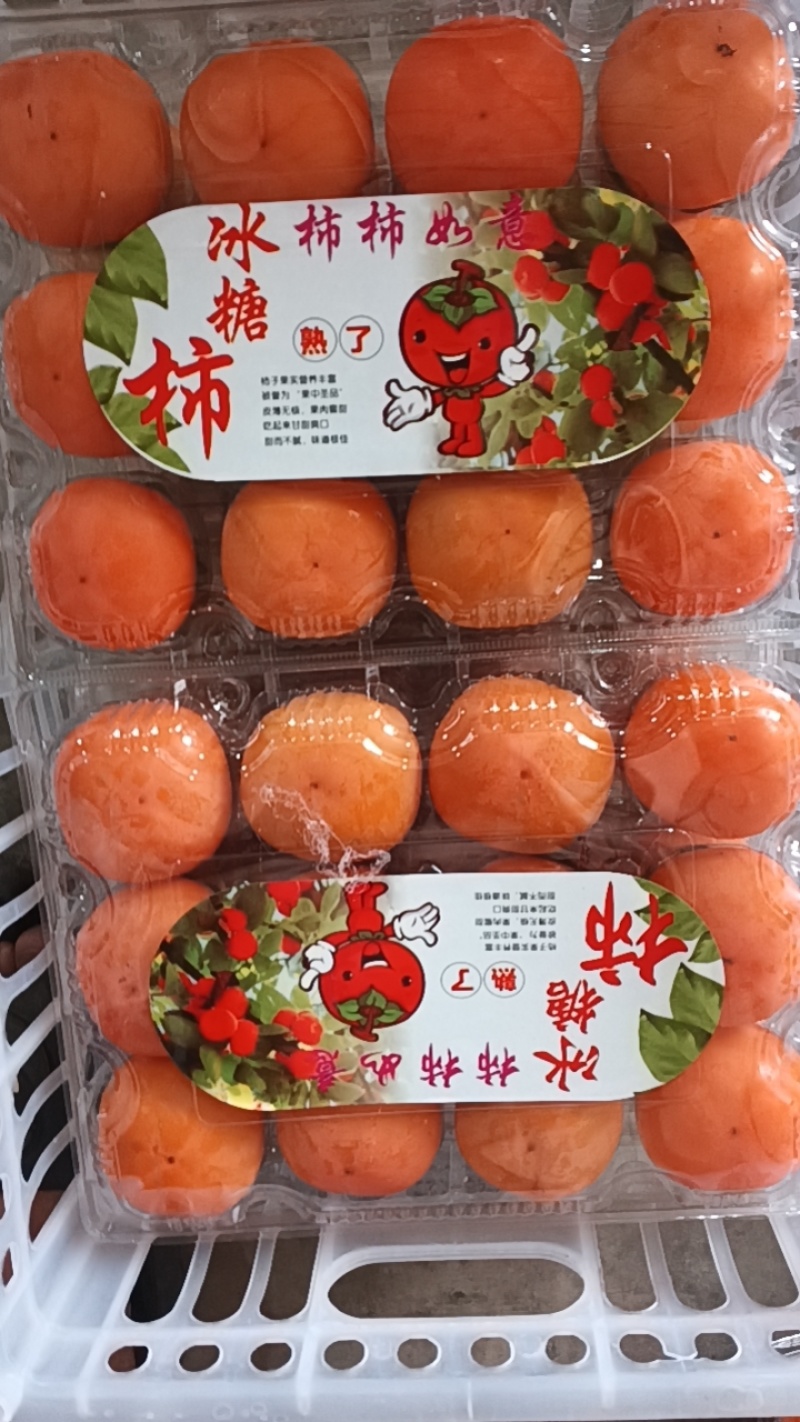 七月黄柿子