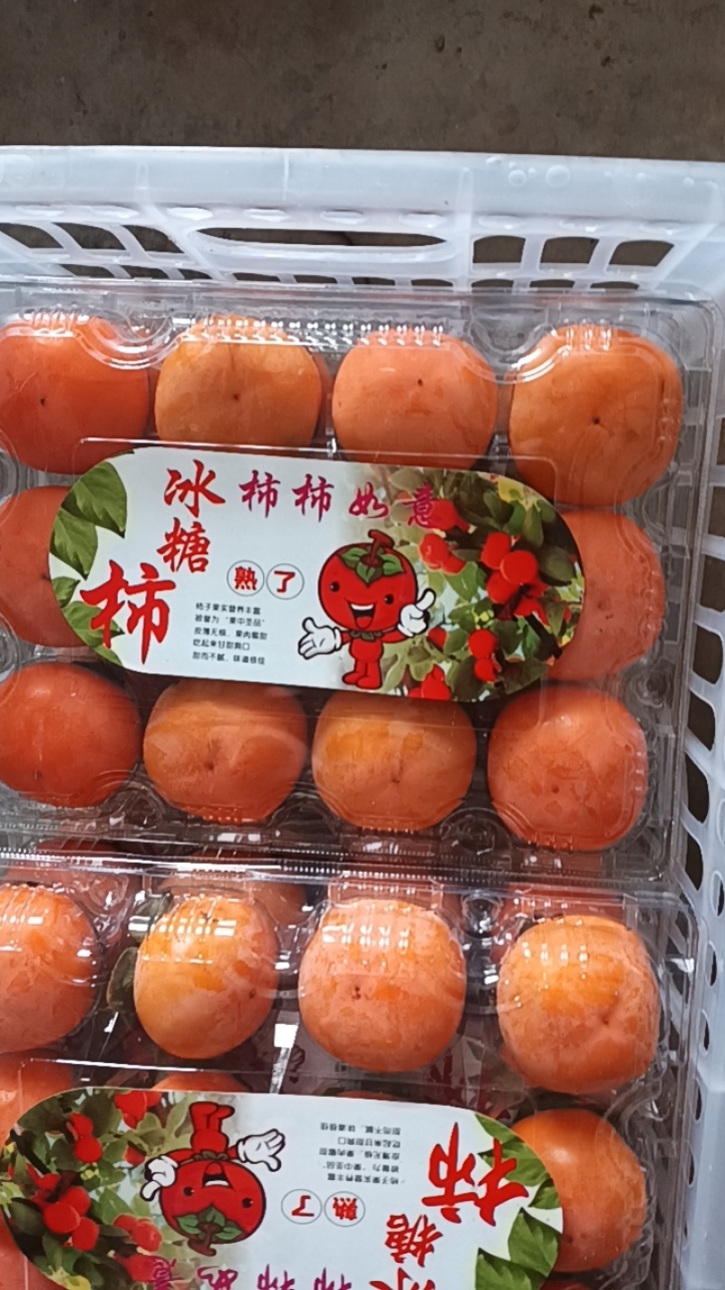 七月黄柿子