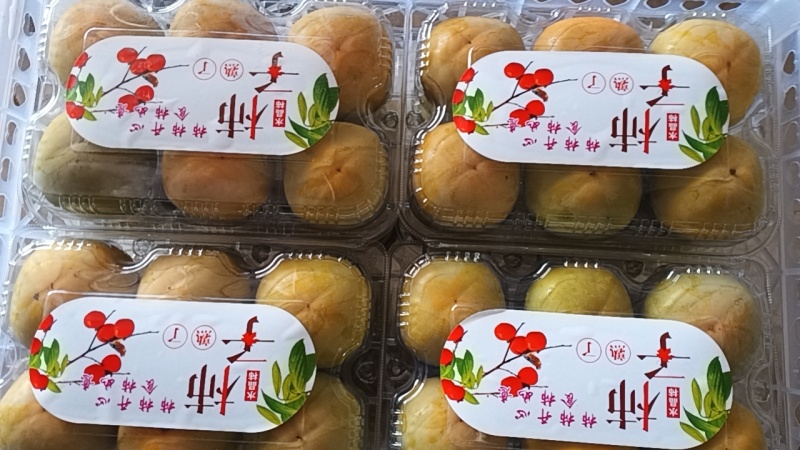 七月黄柿子