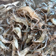 河虾
