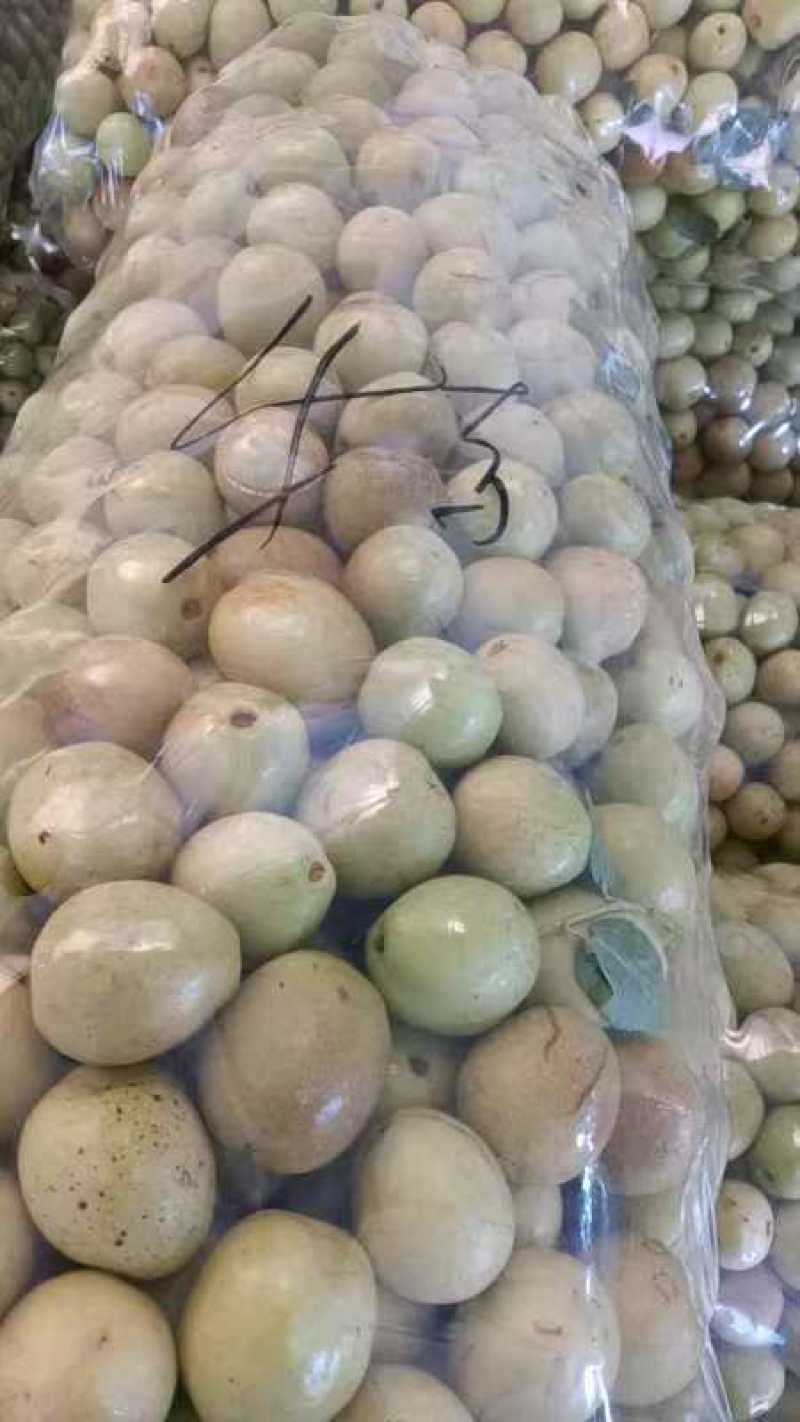 沾化冬枣，婆枣，拐一拐二一件代发，对接各大电商平台抖音