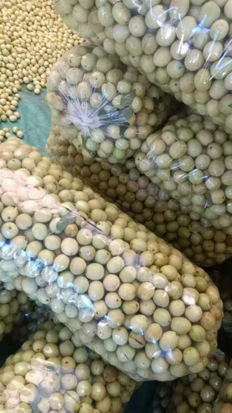 沾化冬枣，婆枣，拐一拐二一件代发，对接各大电商平台抖音