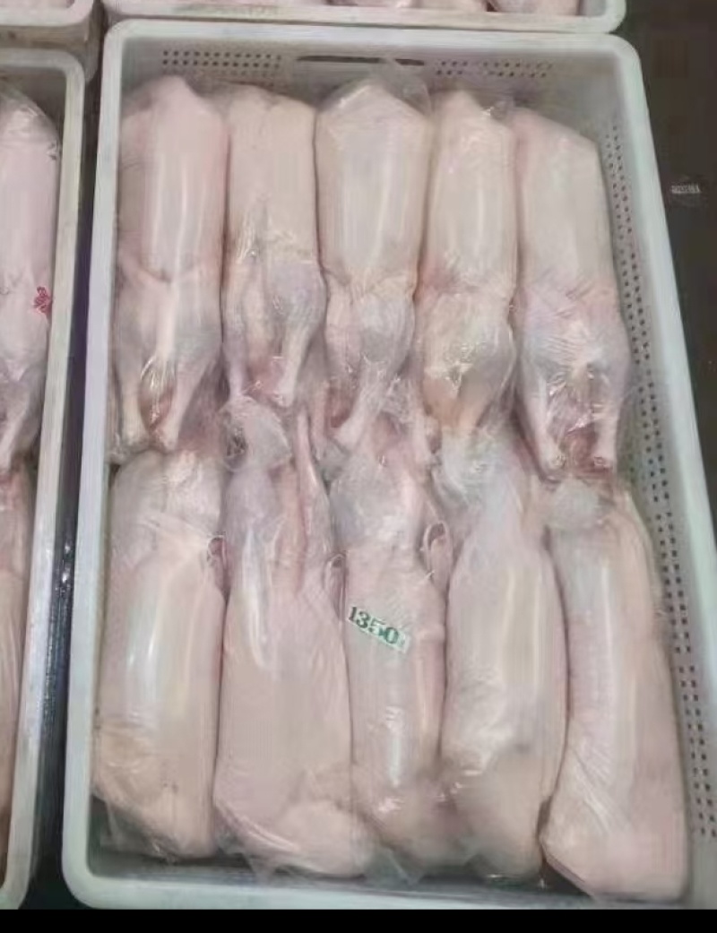 白条鸭大小都有