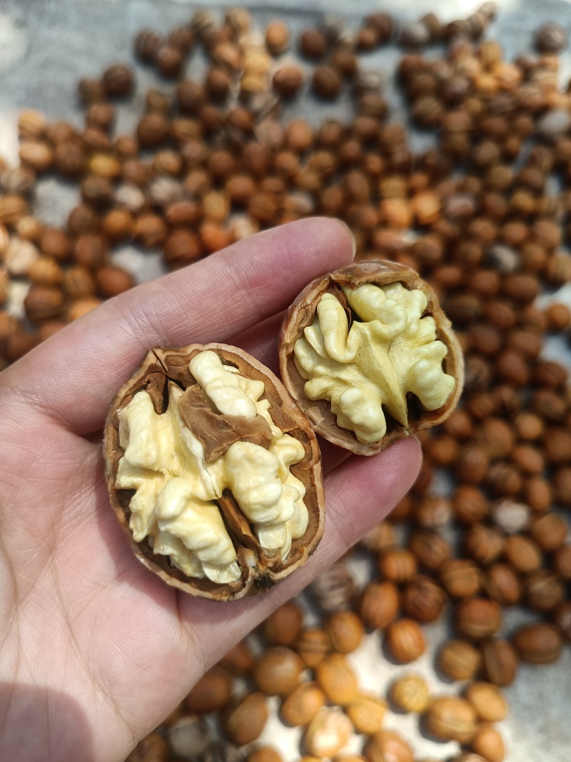 青皮核桃
