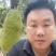 菠萝蜜大量有货海南菠萝蜜产地发货，一手货源质量保证
