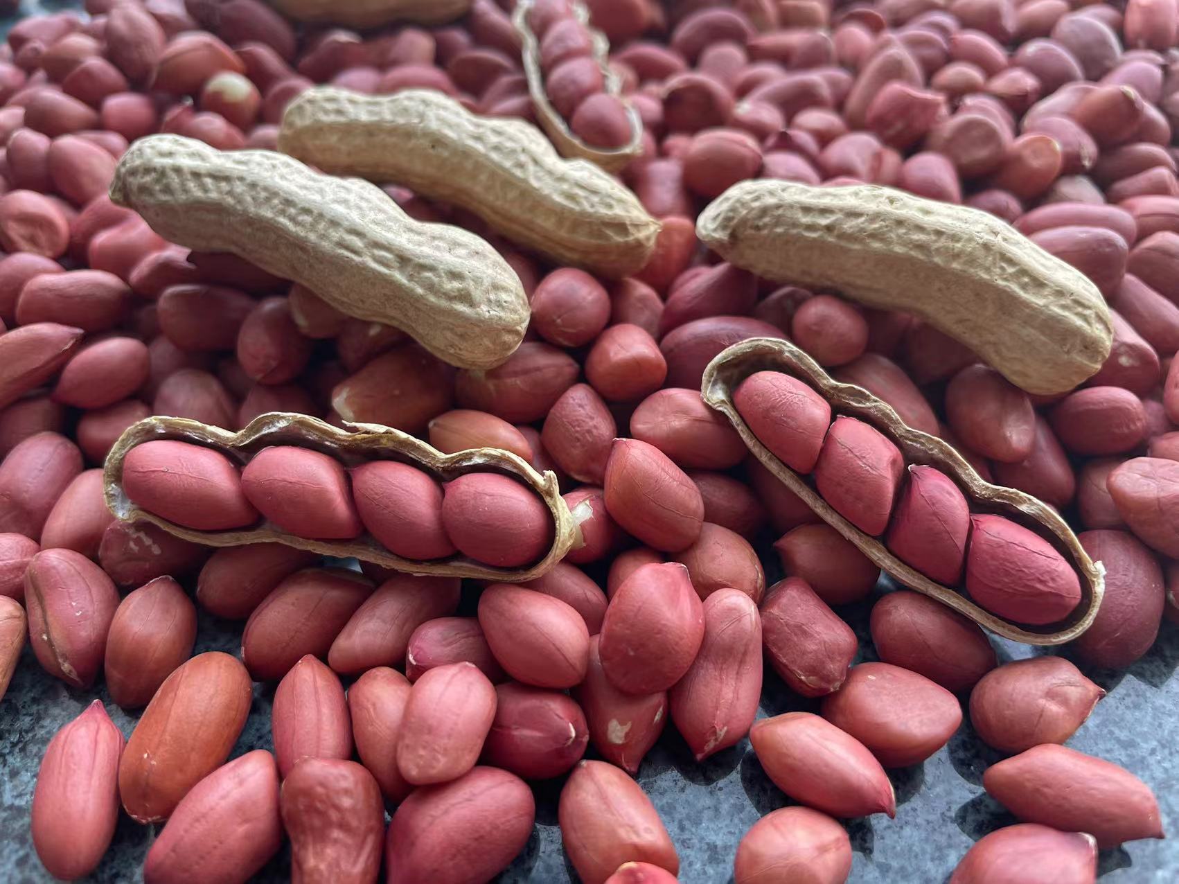 健康花生与加工花生对比图