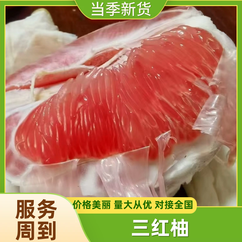福建精选三红柚优选品质老客户口碑好欢迎长期合作