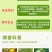 80%乙蒜素苹果树叶斑病水稻稻瘟病杀菌剂正品批发包邮