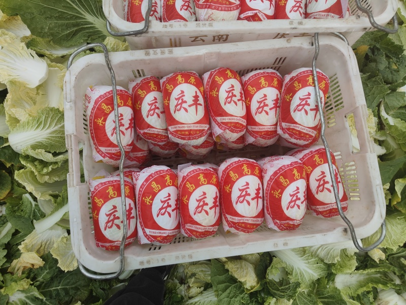 甘肃精品黄心大娃娃菜