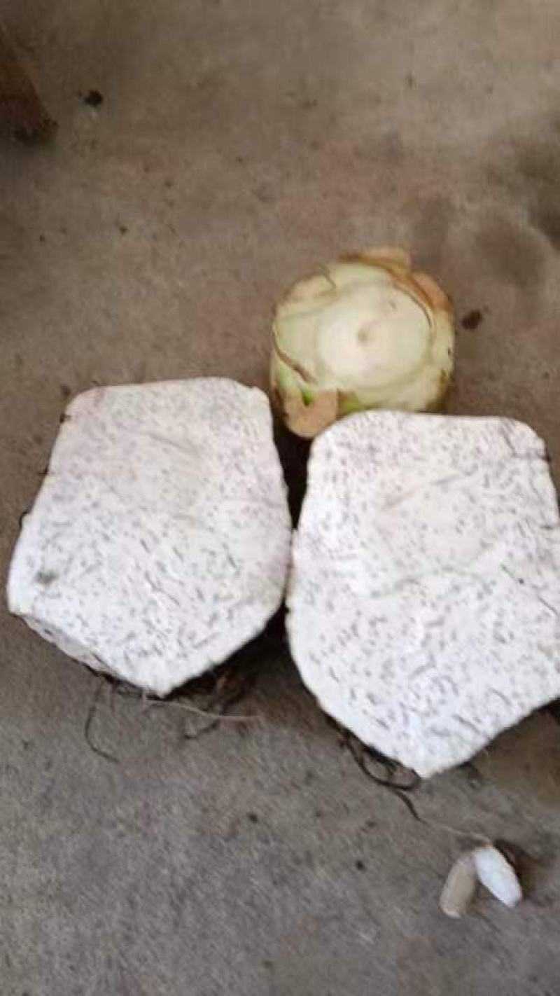 精品芋头，各种规格都有长期稳定供应
