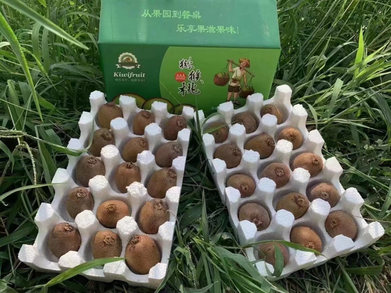 猕猴桃
