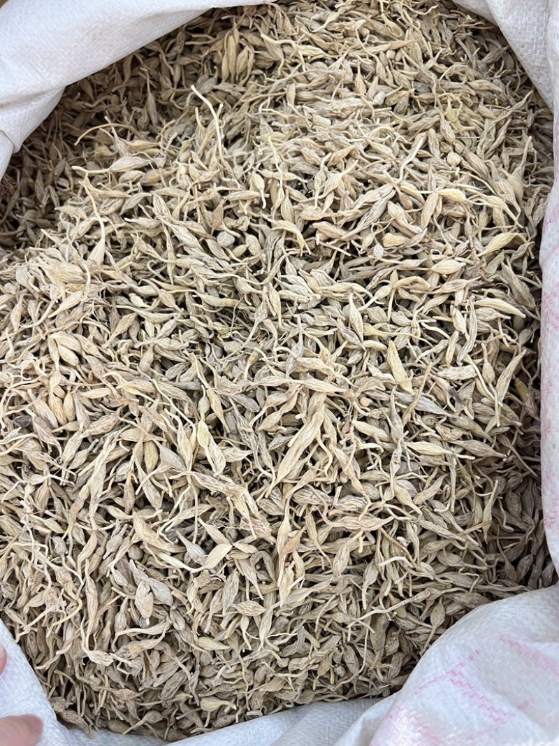 野生麦冬2024年新货味道香颜色好爆品农家干货
