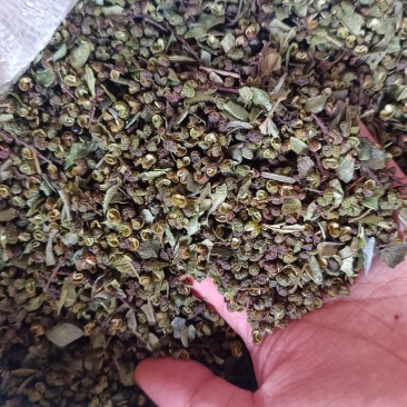 出售昭通青花椒（干花椒，新鲜花椒），物美价廉，品质优良