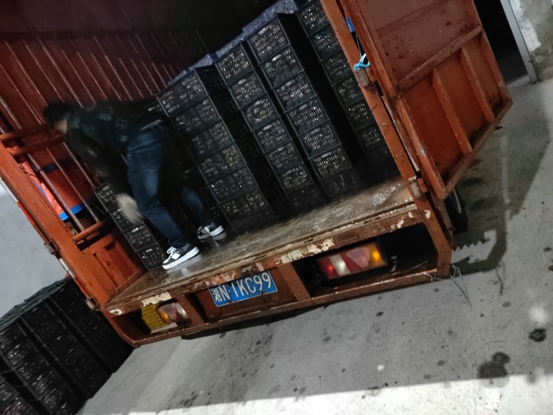 广西平柿饼柿子饼原产地代办，一件代发，价格优惠，质量稳定