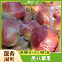 秦皇岛昌黎县精品美八大量上市，规格80以上不封顶。