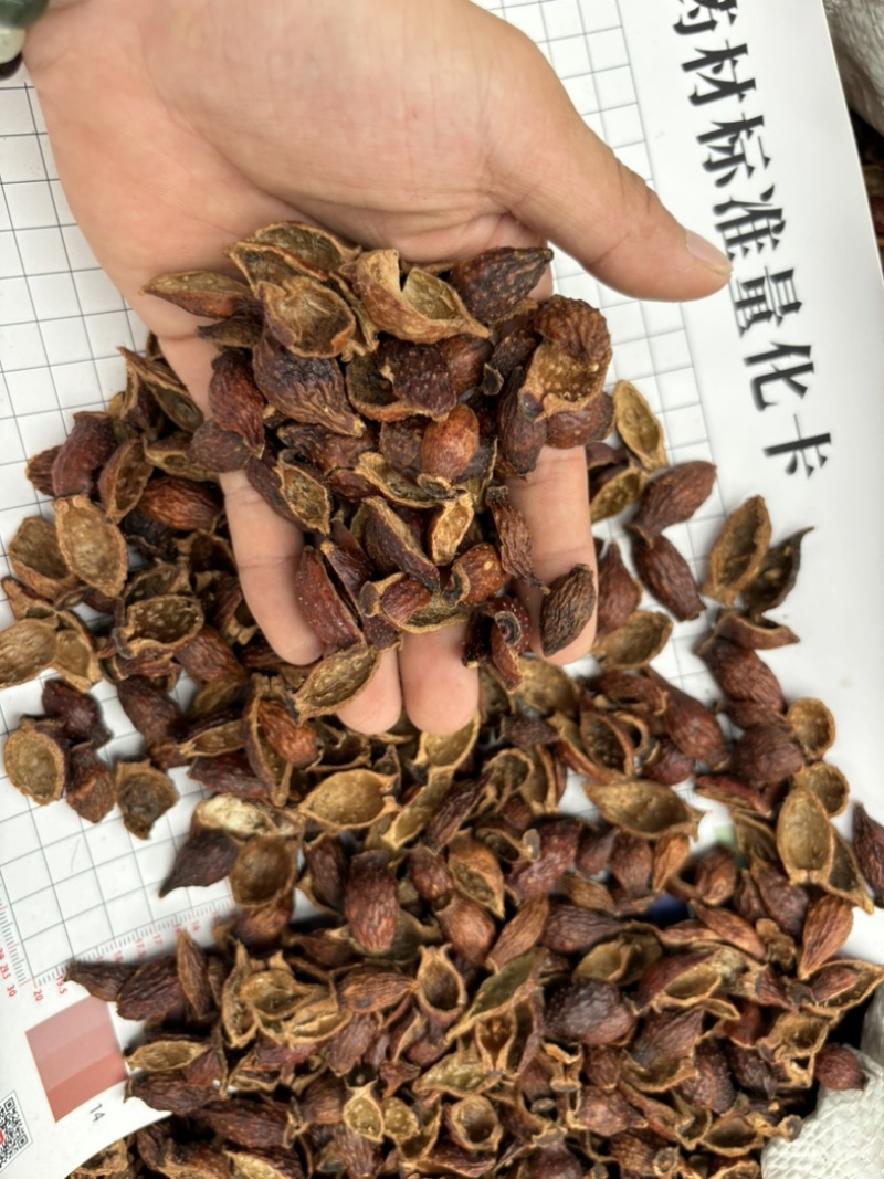 金樱子干货金樱子肉色红果大泡酒好货产地直发量大从优