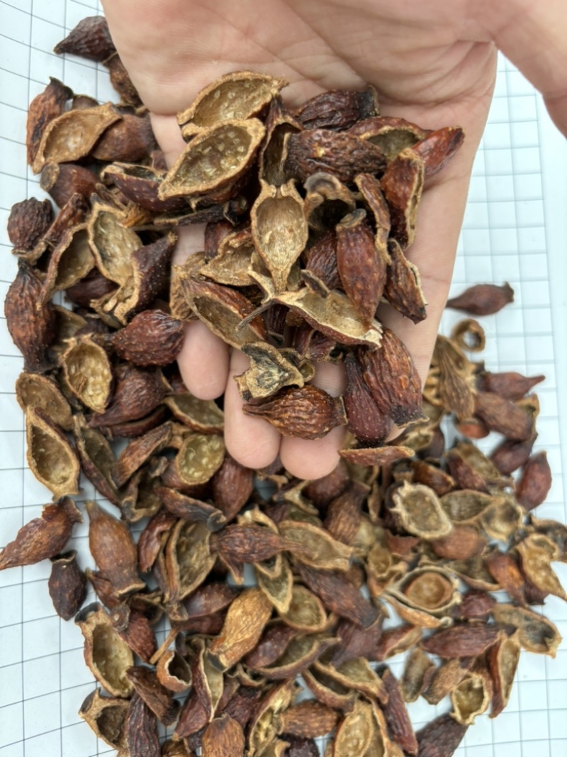 金樱子干货金樱子肉色红果大泡酒好货产地直发量大从优