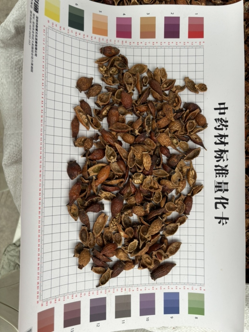 金樱子干货金樱子肉色红果大泡酒好货产地直发量大从优