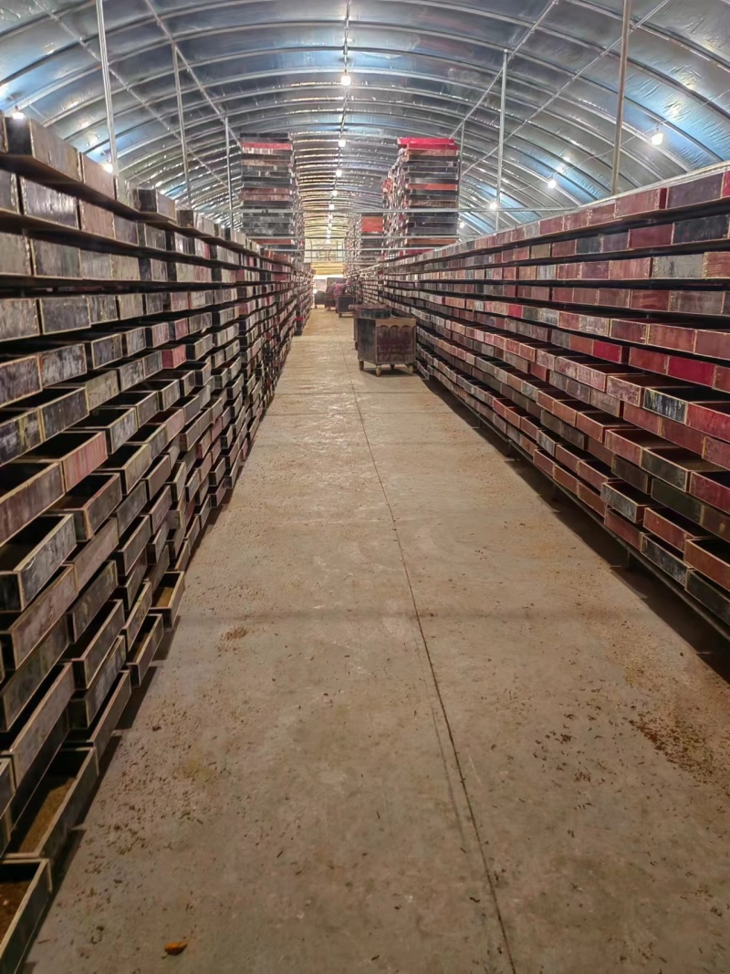 精品黄粉活活体干品都有，货源充足品质保障欢迎选购长期供货