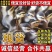 北京麻鸭苗包防疫包运输包成活率货到满意付款诚信服务
